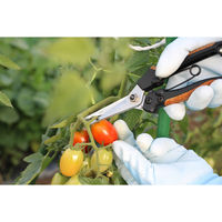 角利産業 Gardening Pro コルクハンドル芽切鋏 70265 1個（直送品）