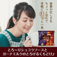 プレミアムガーナ ショコラセレクション 1袋 ロッテ チョコレート お菓子