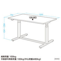 サンワサプライ 電動昇降作業台 幅1200×奥行750×高さ634～1284mm グリーン ERD-WDKP12075G 1台（直送品）