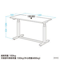 サンワサプライ 電動昇降作業台 幅1200×奥行500×高さ634～1284mm グリーン ERD-WDKP12050G 1台（直送品）