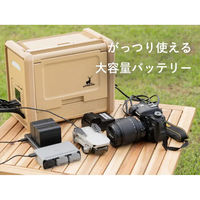 キャプテンスタッグ ポータブルバッテリー 500 TV UW-4511 1台（直送品）