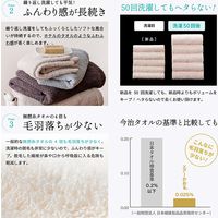 浅野撚糸 エアーかおる エクスタシー マルチタオル 34×120 ふんわり 速乾 グルー 6300060064 1枚（直送品）