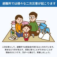 10年保存できる防災用ウェットティッシュ 100個 衛生用品 長期保存 ノンアルコール 無香料 防災グッズ 災害 清掃（直送品）