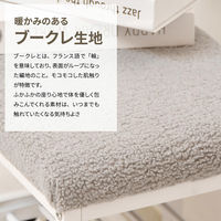 【軒先渡し】B.Bファニシング ブークレ ベンチシューズラック ライトグリーン ONES0252FALGR 1台（直送品）