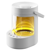 エスケイジャパン ガラス型ポット式スチーム加湿器 SKJ-RY30SKG-WH 1台（直送品）