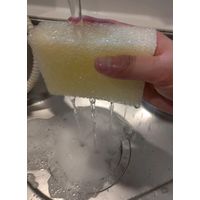 長持ち キッチンスポンジ 泡立ち 水切れ 耐久性抜群 ナチュラル 1個 有本カテイ
