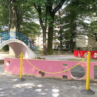 カーボーイ 2.5mチェーン入りポールセット CNP-1121 グリーン 1セット（直送品）