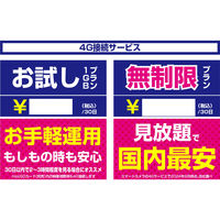 カシムラ スマートカメラ 4G/AC電源/防水 KJ-211 1台（直送品）