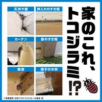 トコジラミ ゴキブリアース 450ml 3本セット アース製薬 殺虫剤 スプレー 駆除【第2類医薬品】