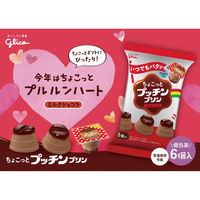 江崎グリコ(株)(旧グリコ乳業) [冷蔵]グリコ ちょこっとプッチンプリン 2種全24個(カスタード・ショコラ) 1セット(2種計24個)（直送品）