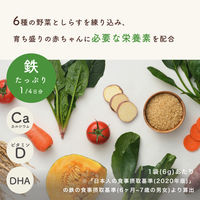 （7カ月頃から）カインデスト 手づかみおやつ 玄米スティック 6種の野菜としらす 1セット（1個（2袋入）×12）