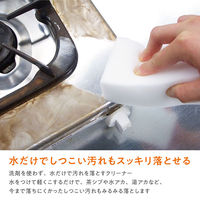 業務用 PRO メラミンスポンジ 水だけでしつこい汚れもスッキリ落とせる 洗剤不要 1パック（10個組）ワイズ