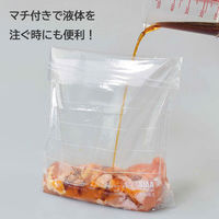 フリーザーバッグ マチ付き パチット 保存袋 冷蔵・冷凍 電子レンジ解凍可 抗菌 Wジッパー式 L 1セット（1箱（10枚入×5）ファイン