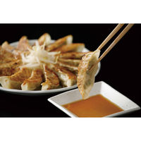 キングマカデミアンJAPAN 特選はままつ餃子 45個 G910045 1セット（直送品）