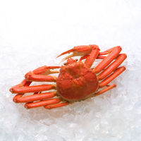 キングマカデミアンJAPAN かに鍋セット4人前 (ずわい蟹) K010010 1セット（直送品）