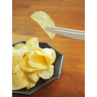 錦化成 スヌーピー スナックトング BE 4460154 1本（直送品）