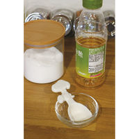 錦化成 スヌーピー ケイリョウスプーン I 4460199 1本（直送品）