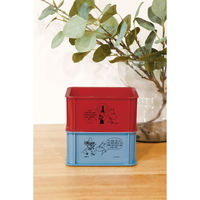 錦化成 ムーミン ミニコンテナ DR 4460213 1個（直送品）