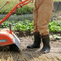 阪神素地 阪神 FU5003 農業専用長靴 M ブラック 1足（直送品）