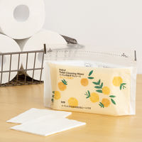 大王製紙 トイレのおそうじシート 12枚入 香りのお試しセット 1セット（ミント＋オレンジ各2個）【ファスナー付き】（寄付金付き） オリジナル