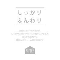 林 やわらかフェイスタオル テックカラー ピンク FO438002 1枚