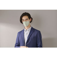 アイリスオーヤマ デイリーフィットマスク 立体 ふつうサイズ ピスタチオ　RK-F5SXA 使い捨て　不織布　カラーマスク　1パック(5枚入)