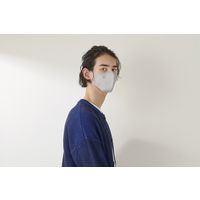 アイリスオーヤマ デイリーフィットマスク 立体 ふつうサイズ ニュアンスグレー　不織布　個包装　カラーマスク　RK-F5SXH 1パック(5枚入)