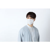 アイリスオーヤマ DAILY FIT MASK なめらかタッチふつうサイズ ホワイト　PK-DH30MW 1箱(30枚入)