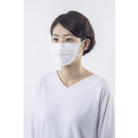 アイリスオーヤマ 美フィットマスク ふつう ホワイト　PK-B30MW プリーツ　1箱(30枚入)