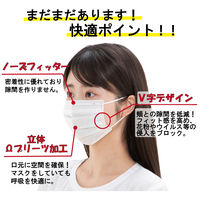 アイリスオーヤマ プリーツマスク ゆったり大きめサイズ ホワイト　PN-NV65LL　プリーツ　1箱(65枚入)