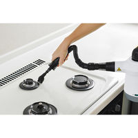 カンダ 1001778「エレット」ハンディスチームクリーナー 4975192085431 1セット（直送品）