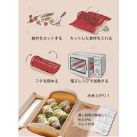 シービージャパン スチームケース+トレイ アーモンド 4573306863342 1個