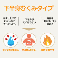 コッコアポL錠 312錠 クラシエ薬品 漢方製剤 防己黄耆湯 肥満症 むくみ【第2類医薬品】