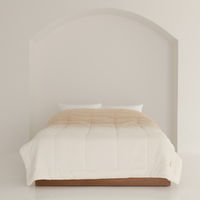 nishikawa　西川　バイカラー毛布　hauu　もちもちブランケット　2枚合わせ　わた入り　洗える　寝具　インテリア　NEWブランド　ベージュ