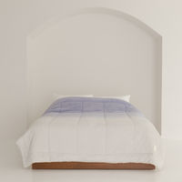 nishikawa　西川　バイカラー毛布　hauu　もちもちブランケット　2枚合わせ　わた入り　洗える　寝具　インテリア　NEWブランド　ラベンダー