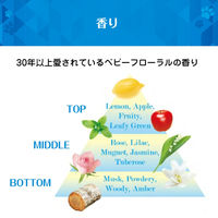 ファーファ 3倍濃縮 超コンパクト粉末洗剤 500g 1個 洗濯洗剤 NSファーファ・ジャパン