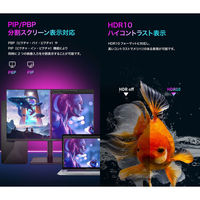 TitanArmy 27インチ 4K 160Hz Fast IPS モニター P27H2V 1台（直送品）