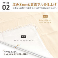 武田コーポレーション ピクニックラグ フリンジ PL24-170BE 1箱(8個入)（直送品）