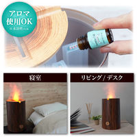 サンコー 「スウェーデントーチ加湿器」 TRCHHMSBW 1台