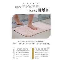 シービージャパン カラリデイ リバーシブルバスマット ピンク 素早く吸水 速乾 1枚