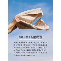 シービージャパン カラリアース バスタオル ピンク 4573306864103 1枚