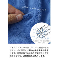 シービージャパン カラリプラス ヘアドライタオル グレー 4571347176100 1枚