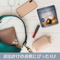 ロッテ プレミアムガーナ 2種のビスキュイトリュフ ＜大粒仕立て＞ 4個 チョコレート