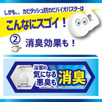 リベルタ カビダッシュ 防カビ・バイオバスター 905338 1セット(1箱×3)