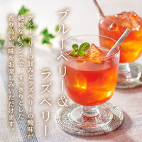 不二食品 ブルーベリー＆ラズベリー 1セット（5包入×3袋）