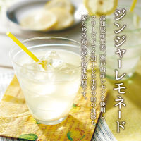 不二食品 ジンジャーレモネード 1セット（5包入×3袋）