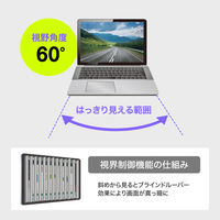 サンワサプライ  16インチワイド(16:10)対応プライバシーフィルター CRT-PFNG160W（直送品）