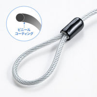 サンワサプライ スロット標準&nano対応セキュリティワイヤー(eセキュリティ・鍵No.1) SLE-91S-1 1本（直送品）