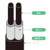 サンワサプライ  一括集中スイッチ付き電源延長コード TAP-EX2SWW（直送品）