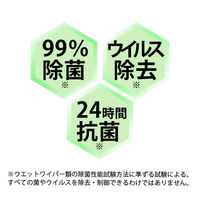 大王製紙 アスクル トイレのおそうじシート オレンジの香り 詰替用 12枚 733982 1個(12枚入) オリジナル（わけあり品）